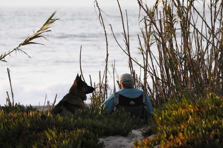 best mdma vendor darknet market reddit