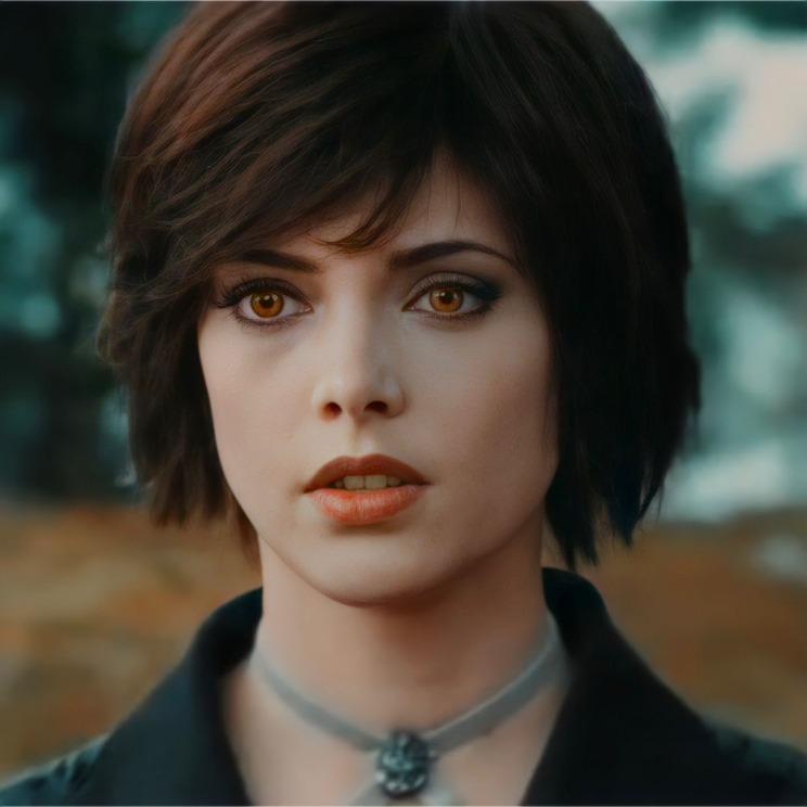 dark web login guide