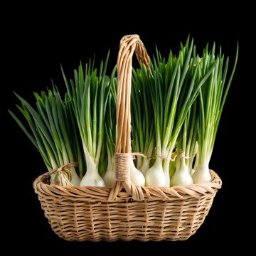onions links