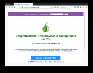 enter the dark web