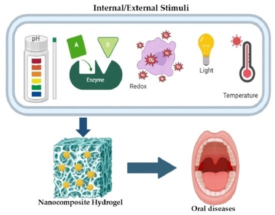 best dark web drug site 2026
