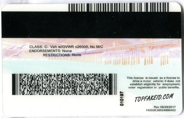 fake id dark web 2026