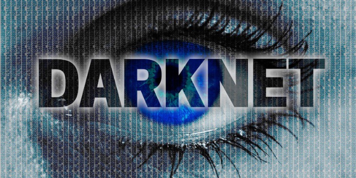 darknet drug dealer