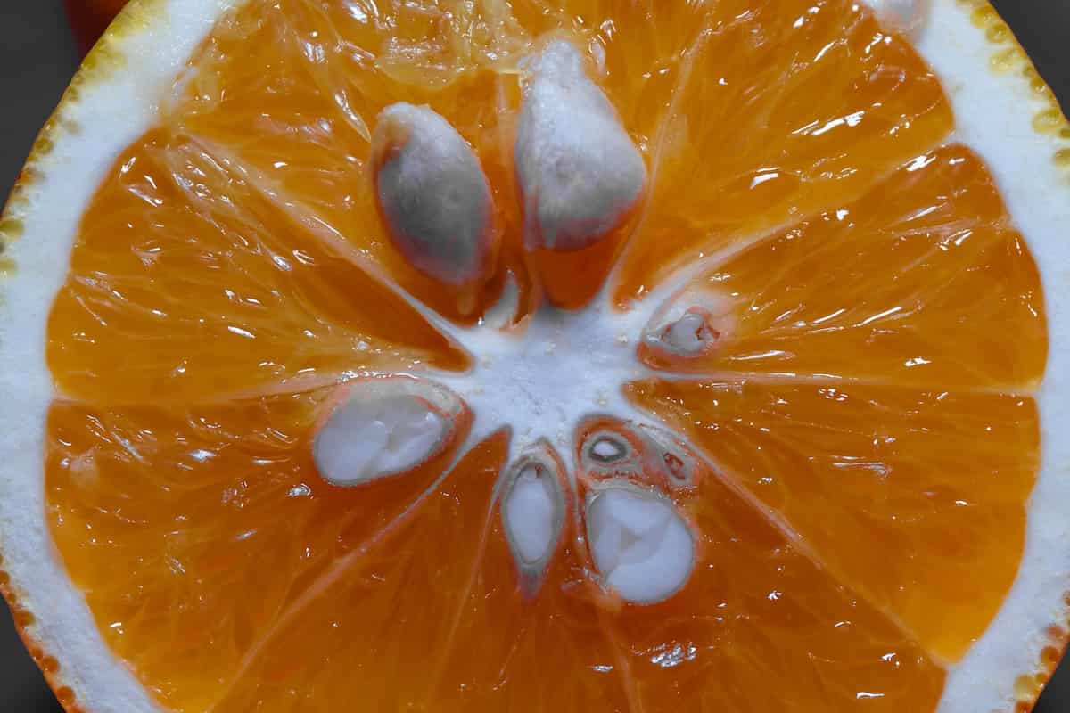 orange sunshine pill