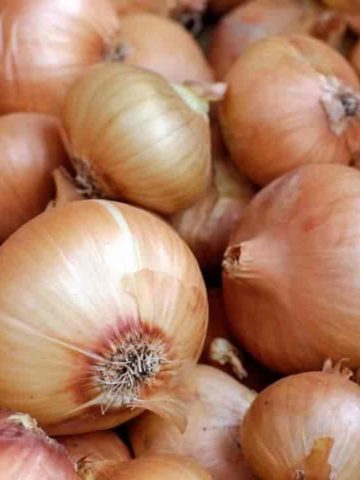 links onions