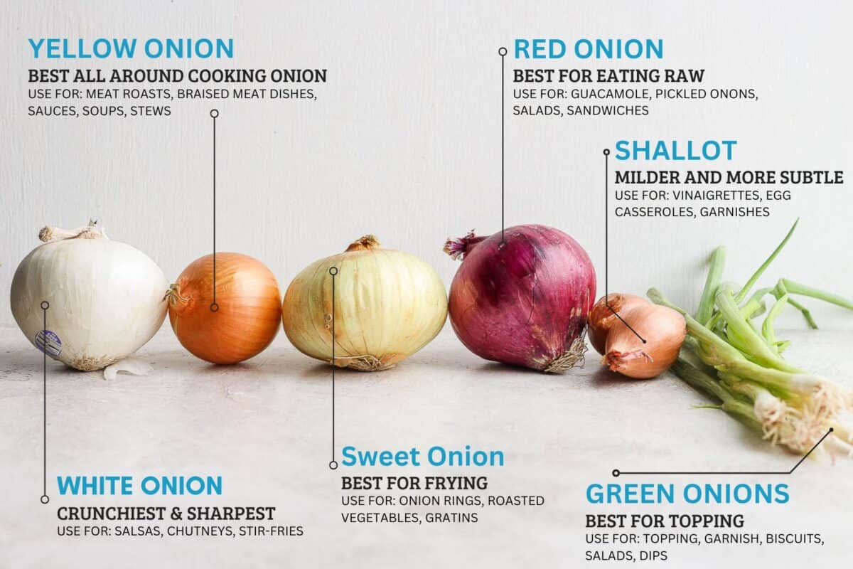 .onion dark web