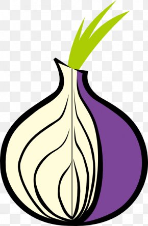 onion dark web