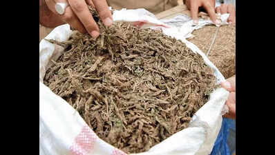 buying drugs on darknet reddit