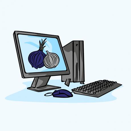 dark net market links 2026